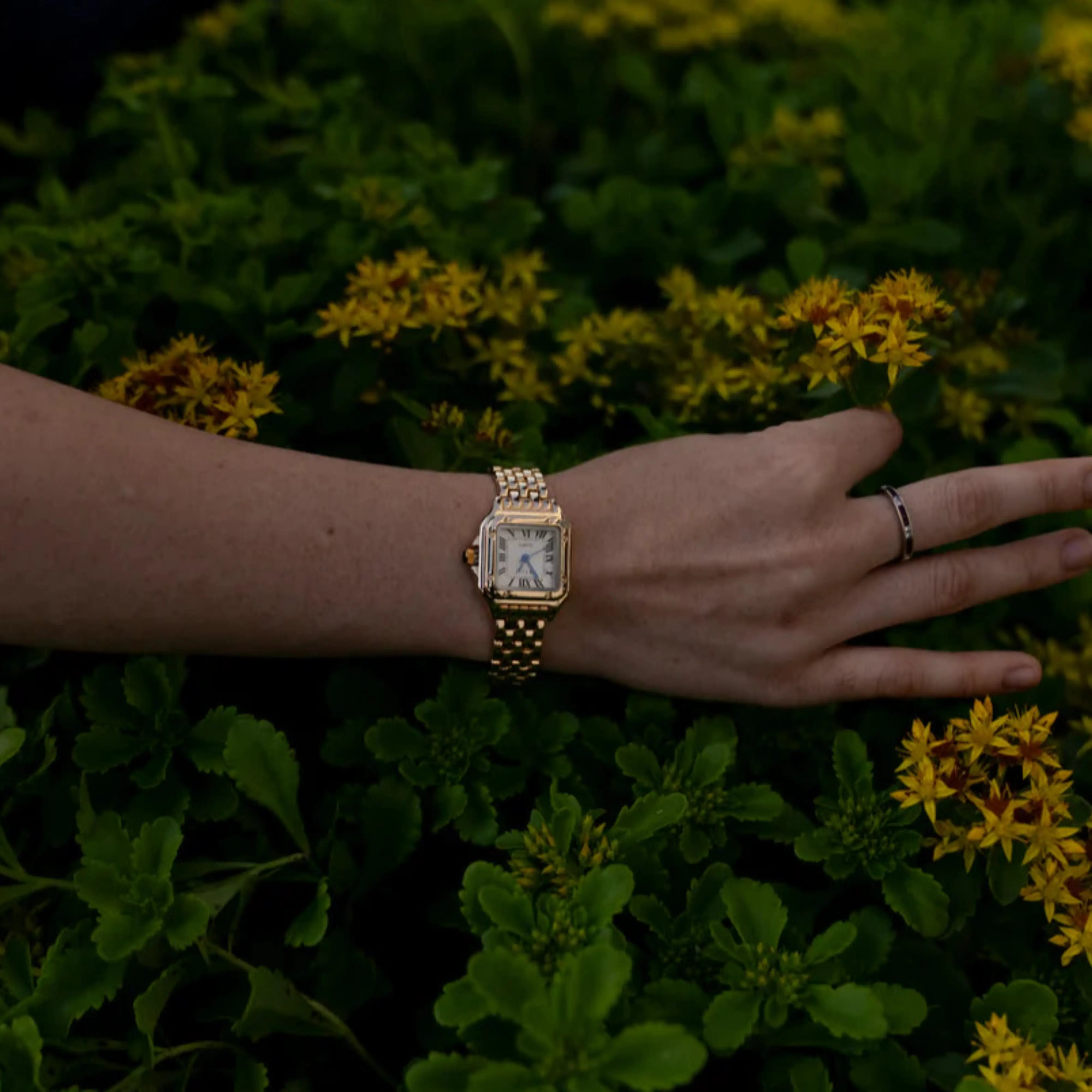 Petra® - Elegant Gold Watch Featuring Roman Numerals – view 3