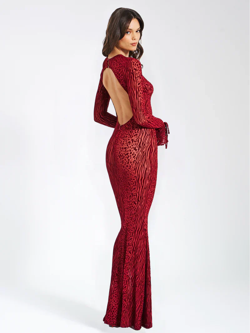 Lariza | Long Maxi Dress – view 4