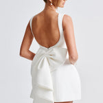 Kel | Chic Mini Dress – view 22