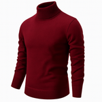 Mark | Timeless Turtleneck – view 5